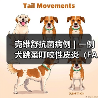 克维舒抗菌病例 | 一例犬跳蚤叮咬性皮炎（FAD）的病例分析（图3）