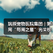 瑞辰宠物医院集团 | 第3周“每周之星”光荣榜(图2) 瑞辰宠物医院集团 | 第3周“每周之星”光荣榜(图2)