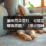 猫咪耳朵变红，可能是哪些原因？（探讨猫咪耳朵变红的原因，提供解决方案）