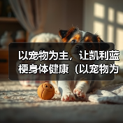 以宠物为主,让凯利蓝梗身体健康(以宠物为主,让凯利蓝梗身体健康)(图4) 以宠物为主,让凯利蓝梗身体健康(以宠物为主,让凯利蓝梗身体健康)(图4)