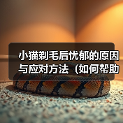 小猫剃毛后忧郁的原因与应对方法(如何帮助小猫克服剃毛后的忧郁情绪)(图3) 小猫剃毛后忧郁的原因与应对方法(如何帮助小猫克服剃毛后的忧郁情绪)(图3)
