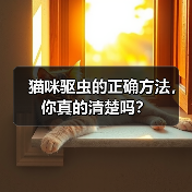 猫咪驱虫的正确方法，你真的清楚吗？（图1）
