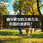 猫咪驱虫的正确方法，你真的清楚吗？（图2）