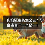 狗狗驱虫药怎么选?学会能省“一个亿”!(图1) 狗狗驱虫药怎么选?学会能省“一个亿”!(图1)
