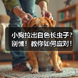 小狗拉出白色长虫子？别慌！教你如何应对！（图3）