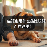 猫驱虫用什么药比较好?看这里!(图3) 猫驱虫用什么药比较好?看这里!(图3)
