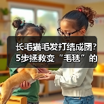 长毛猫毛发打结成团?5步拯救变“毛毯”的猫咪!(图2) 长毛猫毛发打结成团?5步拯救变“毛毯”的猫咪!(图2)
