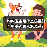狗狗驱虫用什么药最好？新手铲屎官怎么选？（图1）
