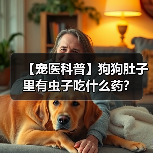 【宠医科普】狗狗肚子里有虫子吃什么药？（图3）
