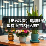 【宠医科普】狗狗肚子里有虫子吃什么药？（图4）