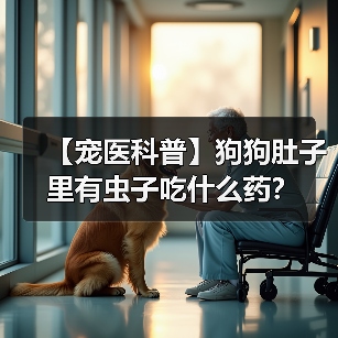 【宠医科普】狗狗肚子里有虫子吃什么药？（图1）