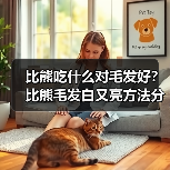比熊吃什么对毛发好？比熊毛发白又亮方法分享！（图4）