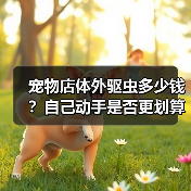 宠物店体外驱虫多少钱？自己动手是否更划算？（图2）