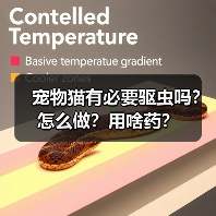 宠物猫有必要驱虫吗？怎么做？用啥药？（图4）