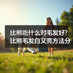 比熊吃什么对毛发好？比熊毛发白又亮方法分享！（图2）