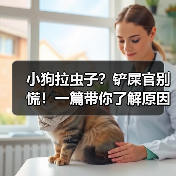 小狗拉虫子？铲屎官别慌！一篇带你了解原因和解决方法（图2）