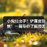 小狗拉虫子？铲屎官别慌！一篇带你了解原因和解决方法（图1）