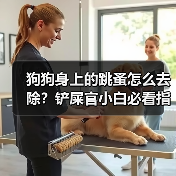 狗狗身上的跳蚤怎么去除？铲屎官小白必看指南（图4）