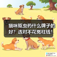 猫咪驱虫药什么牌子的好？选对不花冤枉钱！（图2）