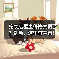 宠物店驱虫价格太贵了？别急，这里有平替！（图2）