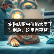 宠物店驱虫价格太贵了？别急，这里有平替！（图1）