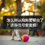 怎么辨认狗狗要驱虫了？这些信号要重视！（图3）