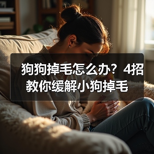 狗狗掉毛怎么办？4招教你缓解小狗掉毛（图3）