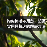 狗狗掉毛不用愁:超级实用且快速的解决方法(图3) 狗狗掉毛不用愁:超级实用且快速的解决方法(图3)