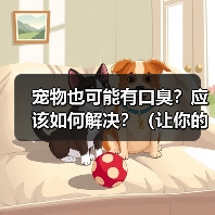 宠物也可能有口臭?应该如何解决?(让你的宠物告别口臭,彰显宠爱心情!)(图4) 宠物也可能有口臭?应该如何解决?(让你的宠物告别口臭,彰显宠爱心情!)(图4)