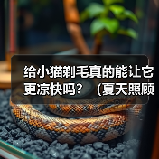 给小猫剃毛真的能让它更凉快吗?(夏天照顾小猫,别乱剃毛!)(图3) 给小猫剃毛真的能让它更凉快吗?(夏天照顾小猫,别乱剃毛!)(图3)