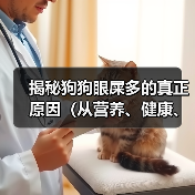 揭秘狗狗眼屎多的真正原因(从营养、健康、环境三方面解析狗狗眼屎多的成因)(图3) 揭秘狗狗眼屎多的真正原因(从营养、健康、环境三方面解析狗狗眼屎多的成因)(图3)