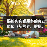 揭秘狗狗眼屎多的真正原因（从营养、健康、环境三方面解析狗狗眼屎多的成因）
