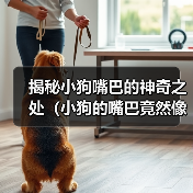 揭秘小狗嘴巴的神奇之处(小狗的嘴巴竟然像这个东西!)(图2) 揭秘小狗嘴巴的神奇之处(小狗的嘴巴竟然像这个东西!)(图2)