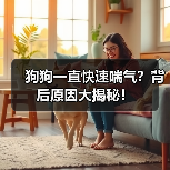 狗狗一直快速喘气？背后原因大揭秘！（图3）