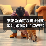 猫吃鱼油可以防止掉毛吗？揭秘鱼油的功效和作用