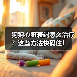 狗狗心脏衰竭怎么治疗？这些方法快码住！（图2）