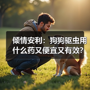 倾情安利：狗狗驱虫用什么药又便宜又有效？