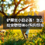 铲屎官小白必看!怎么给宠物猫咪or狗狗驱虫?(图4) 铲屎官小白必看!怎么给宠物猫咪or狗狗驱虫?(图4)