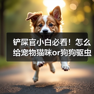 铲屎官小白必看!怎么给宠物猫咪or狗狗驱虫?(图3) 铲屎官小白必看!怎么给宠物猫咪or狗狗驱虫?(图3)
