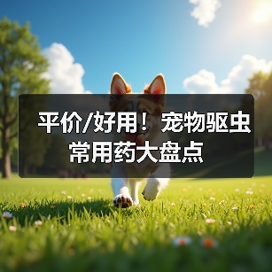 平价/好用！宠物驱虫常用药大盘点（图4）