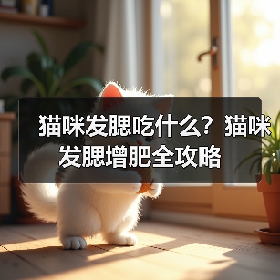 猫咪发腮吃什么？猫咪发腮增肥全攻略