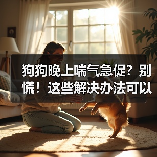 狗狗晚上喘气急促?别慌!这些解决办法可以帮忙(图3) 狗狗晚上喘气急促?别慌!这些解决办法可以帮忙(图3)