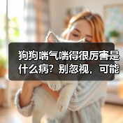 狗狗喘气喘得很厉害是什么病？别忽视，可能是心脏问题！（图4）