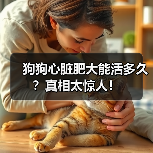 狗狗心脏肥大能活多久？真相太惊人！