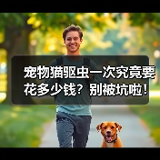 宠物猫驱虫一次究竟要花多少钱?别被坑啦!(图4) 宠物猫驱虫一次究竟要花多少钱?别被坑啦!(图4)