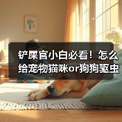 铲屎官小白必看！怎么给宠物猫咪or狗狗驱虫？