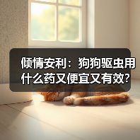 倾情安利:狗狗驱虫用什么药又便宜又有效?(图3) 倾情安利:狗狗驱虫用什么药又便宜又有效?(图3)