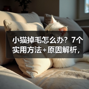 小猫掉毛怎么办？7个实用方法+原因解析，养猫新手必看！（图2）
