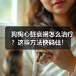 狗狗心脏衰竭怎么治疗？这些方法快码住！（图3）