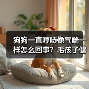 狗狗一直哼哧像气喘一样怎么回事？毛孩子健康危机早知道！（图2）